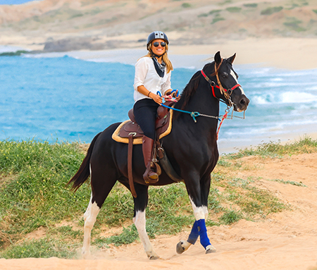 Horseback Ride