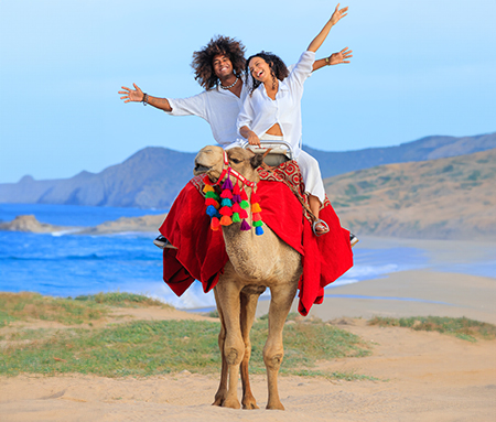 Camel Ride