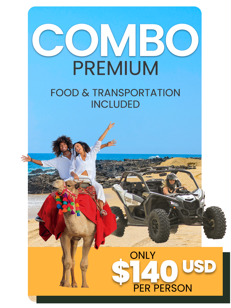 Cabo Tours Combo Premium X3