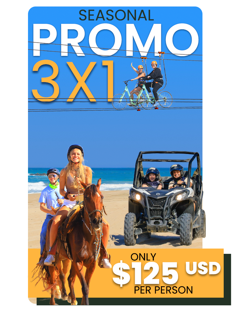 Cabo Tours Promo Seasonal 3X1