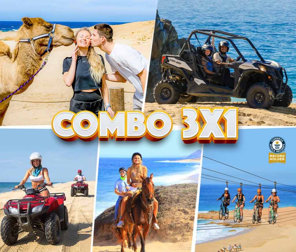 Cabo tours 3x1 combo