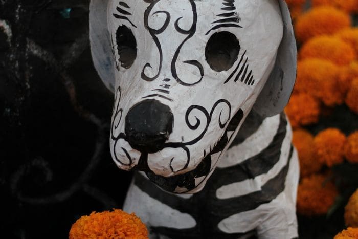 Day of the Dead in Los Cabos, Day by Day